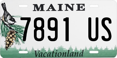 ME license plate 7891US