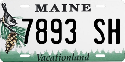 ME license plate 7893SH