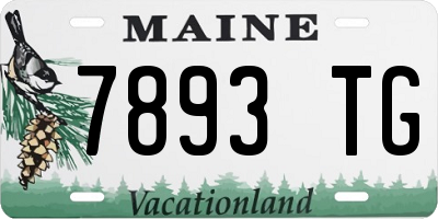 ME license plate 7893TG