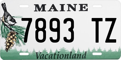 ME license plate 7893TZ