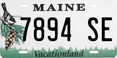 ME license plate 7894SE