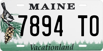 ME license plate 7894TO