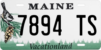 ME license plate 7894TS