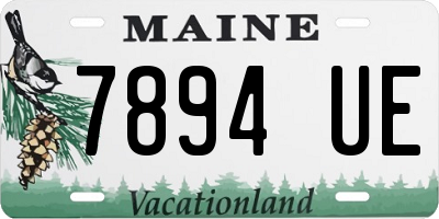 ME license plate 7894UE