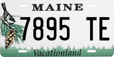 ME license plate 7895TE