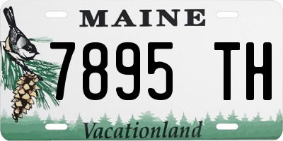 ME license plate 7895TH