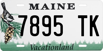 ME license plate 7895TK
