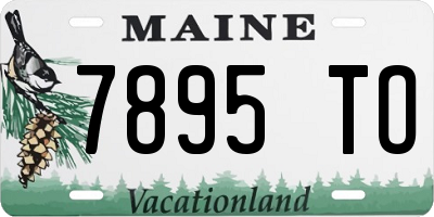 ME license plate 7895TO