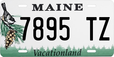 ME license plate 7895TZ