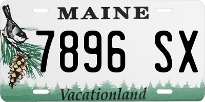 ME license plate 7896SX