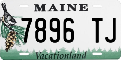 ME license plate 7896TJ