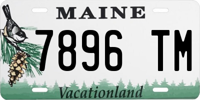 ME license plate 7896TM