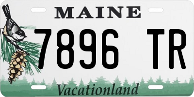 ME license plate 7896TR