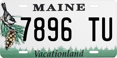 ME license plate 7896TU