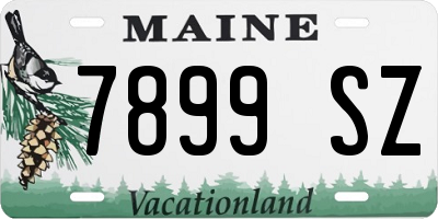 ME license plate 7899SZ