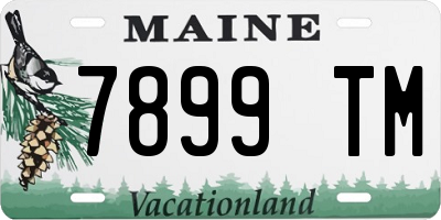 ME license plate 7899TM