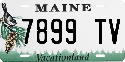 ME license plate 7899TV