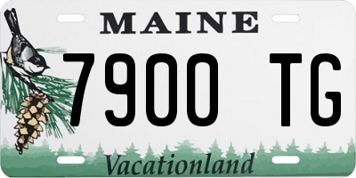 ME license plate 7900TG