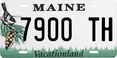 ME license plate 7900TH