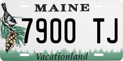 ME license plate 7900TJ