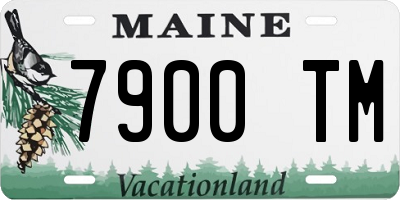 ME license plate 7900TM