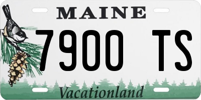 ME license plate 7900TS