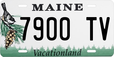 ME license plate 7900TV