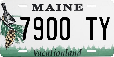 ME license plate 7900TY