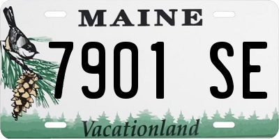 ME license plate 7901SE