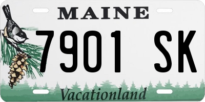 ME license plate 7901SK