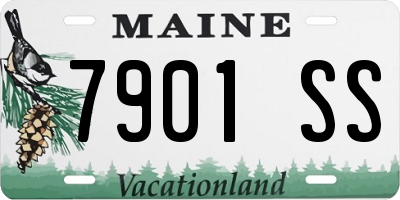 ME license plate 7901SS