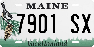 ME license plate 7901SX