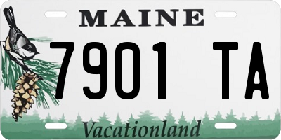 ME license plate 7901TA