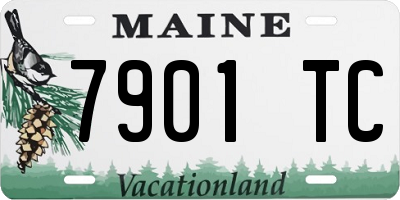 ME license plate 7901TC