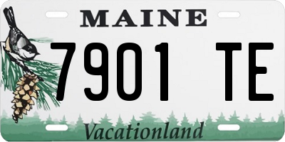 ME license plate 7901TE
