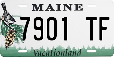 ME license plate 7901TF