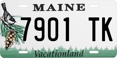 ME license plate 7901TK