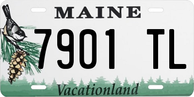 ME license plate 7901TL