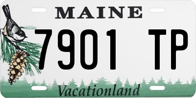 ME license plate 7901TP