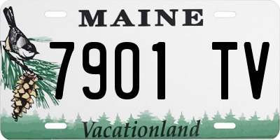 ME license plate 7901TV