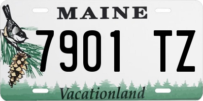 ME license plate 7901TZ