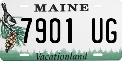 ME license plate 7901UG