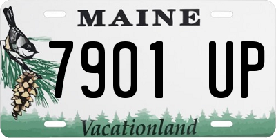 ME license plate 7901UP