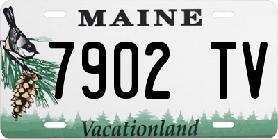 ME license plate 7902TV