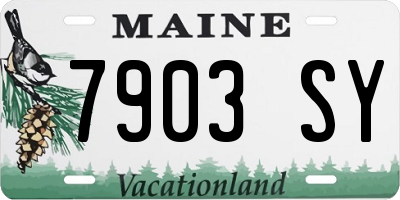 ME license plate 7903SY