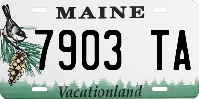 ME license plate 7903TA