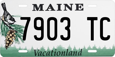 ME license plate 7903TC