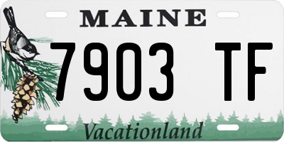 ME license plate 7903TF
