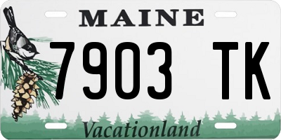 ME license plate 7903TK
