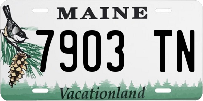 ME license plate 7903TN